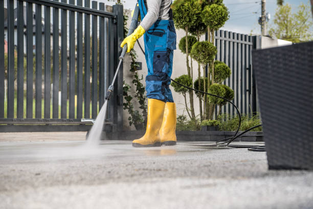 Best Graffiti Removal  in Orange City, FL
